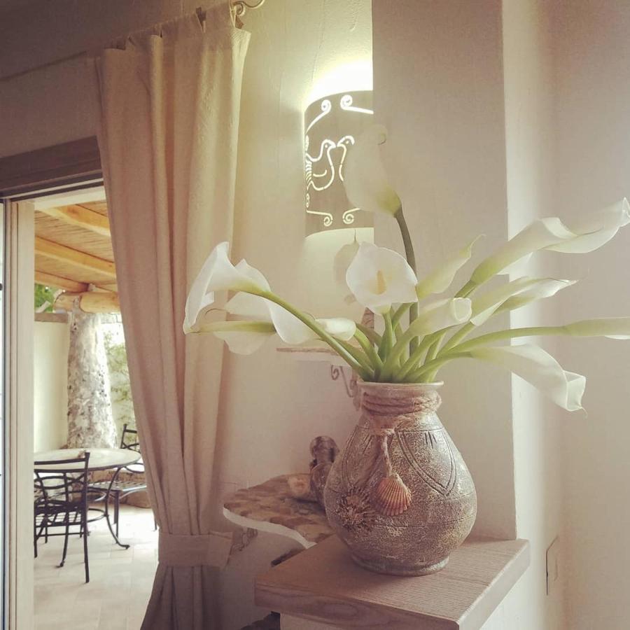 Nonna Pasqualina B&B Santa Teresa Gallura Luaran gambar